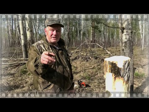 Как сделать универсальный солонец который подойдёт для любых животных.