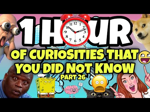 1 HOUR OF CURIOSITIES AND THINGS YOU DIDN'T KNOW 🧠⏰ #26