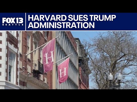 Harvard sues Trump administration over funding freeze | FOX 13 Seattle