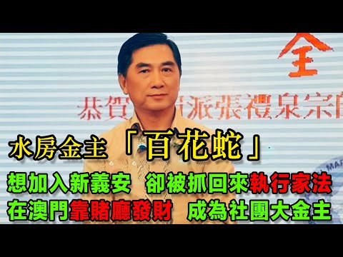 水房金主「百花蛇」陳志強，想加入新義安，卻被抓回來執行家法，後來去澳門，憑借賭廳大發其財，飛黃騰達後成社團大金主