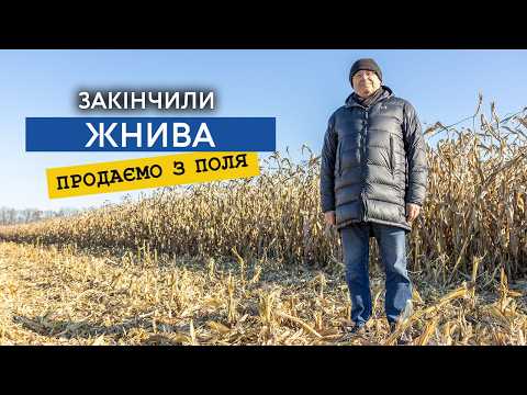 Corn is pouring 135 c/h, moisture 24, we sell it from the field for 9,000 UAH!