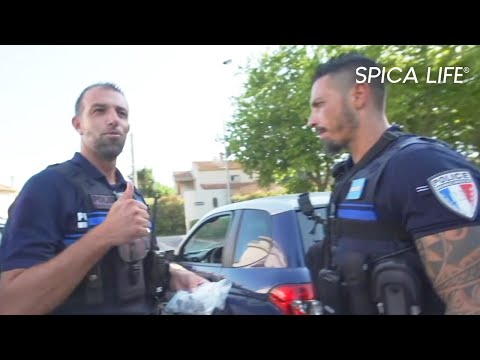 Fréjus : 100 jours sous tension, une ville sous pression