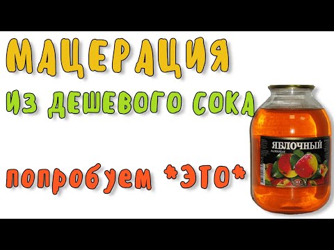Мацерация: самый быстрый мацерат из дешевого яблочного сока на Колонном NEW-3 от Мастерской застолья