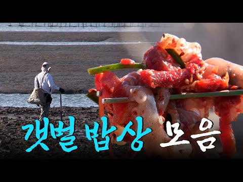 풍부한 영양분을 머금은 갯벌이 키워낸 낙지부터 꼬막까지! 보기만 해도 힘이 솟는 갯벌 밥상 모음집 Korean Food｜KBS 방송