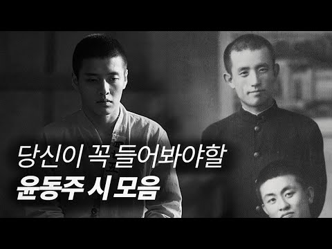 윤동주 시 모음 낭독 feat.동주