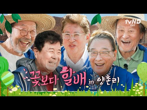 [#회장님네사람들] (140분) 서로 보기만 해도 즐거운 양촌리’s 꽃할배🧓 요리, 먹방, 수다 꽃할배들의 양촌리 전원생활 다~가지고 옴🌺