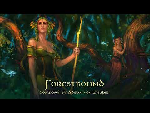 Celtic Music - Forestbound
