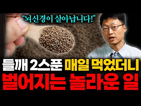 오메가 3 폭탄! 들깨를 매일 이렇게 먹었더니 혈관이 살아나고 당뇨에 직빵입니다. (최석재 원장 총통합본)