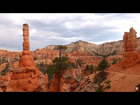 Bryce Canyon Episode 2 Amphitheater, Stunning Scenery in 8K UHD w Ambient & Cinematic Music