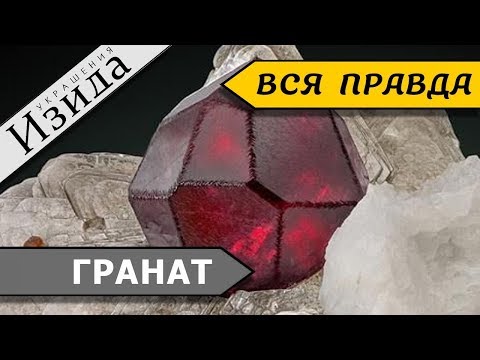 ГРАНАТ: КРОВЬ ЖИЗНИ