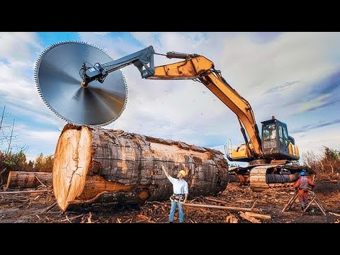 Extreme Dangerous Fastest Big Chainsaw Cutting Tree Machines | Monster Stump Removal Excavator #31