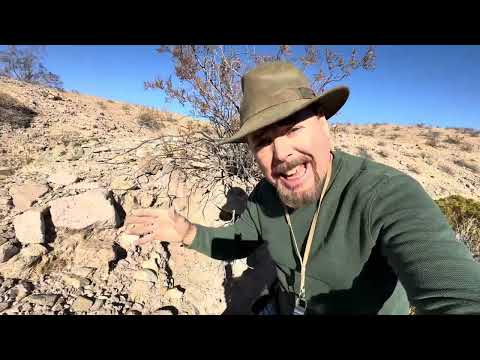 MASSIVE Placer Gold Deposit Found | Location Revealed