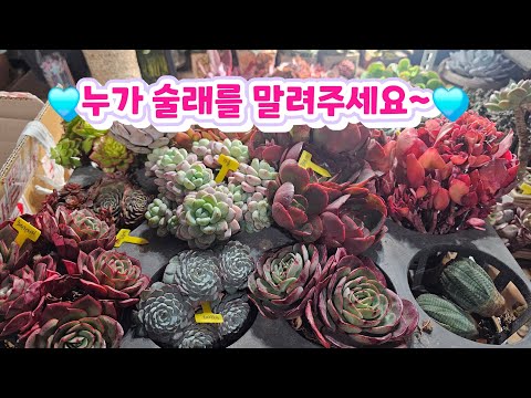 미치겠네 ~~😱 또~~~언박싱 해요~~🤣🤣