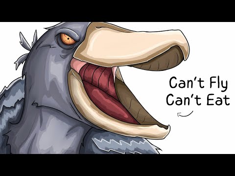 Why it Sucks To Be Born As a Shoebill