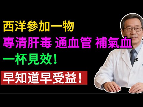 快看！西洋參這樣喝，功效強10倍！这個“黃金配方”，專清肝毒，通血管，補氣血！#健康知识#老年健康#健康养生#健康之眼