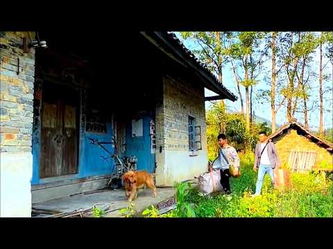 His wife's birthday, man secretly renovate old house with a beautiful garden making her very happy