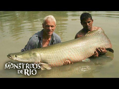 Asesinos del Amazonas: En las Profundidades Acecha un Dinosaurio | T1 E04 | Monstruos de Río