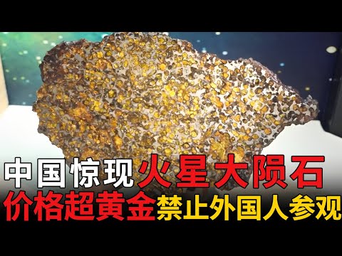 中国惊现火星大陨石，价格不可估量，内藏神秘橄榄原石，禁止外国人参观【瑰宝】#月球#文物#收藏
