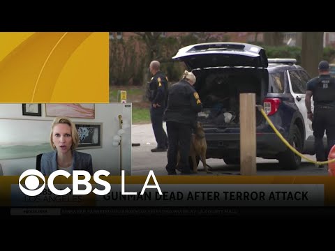 Public safety expert discusses the suspect in the Michigan synagogue shooting