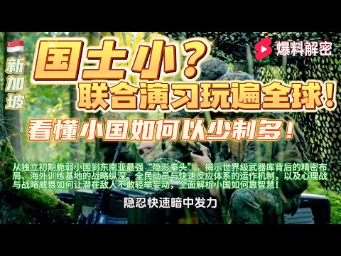 新加坡军力全揭秘：从独立初期脆弱小国到东南亚最强“隐形拳头”，世界级武器库、海外训练基地、精密动员与心理威慑体系全面曝光，让你看懂小国如何以少制多#香港#香港#臺灣#新加坡#馬來西亞 #華人 #美國