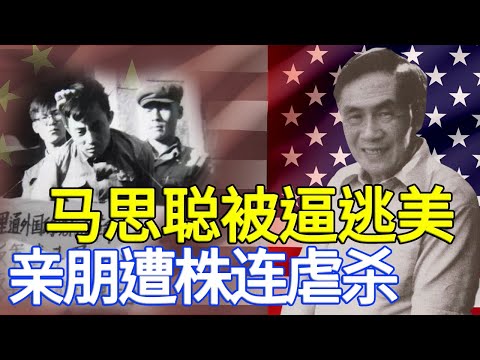 一代音乐巨子马思聪文革被批斗，历尽千辛万苦逃离沦陷区，晚年宁可客死他乡，拒绝回国  376集