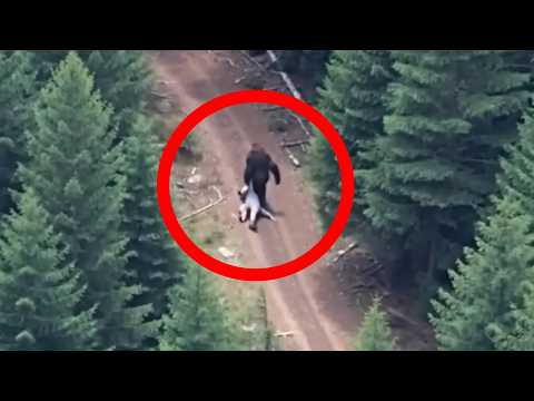 De Veritables Rencontres Avec Bigfoot Filmees Par Une Camera