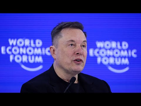 Shareholders Have No Say in Tesla, Gerber Says