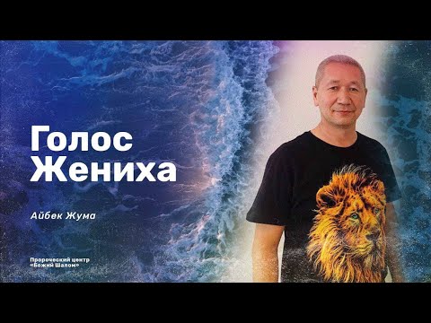 ГОЛОС ЖЕНИХА / АЙБЕК ЖУМА