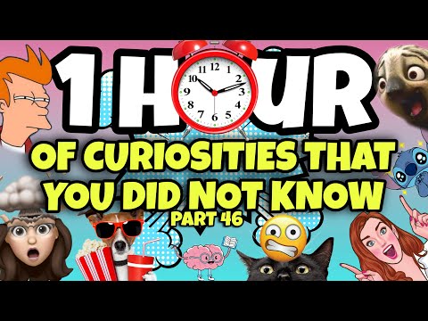 1 HOUR OF CURIOSITIES AND THINGS YOU DIDN'T KNOW 🧠⏰ #46