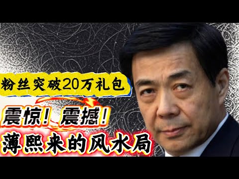 震惊！震撼！薄熙来的风水局！粉丝突破20万大礼包🎁