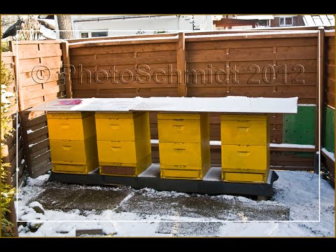 дно с секретом/Boden mit einem Geheimnis