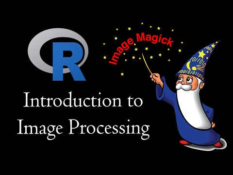 Introduction to Image Processing in R (magick package)