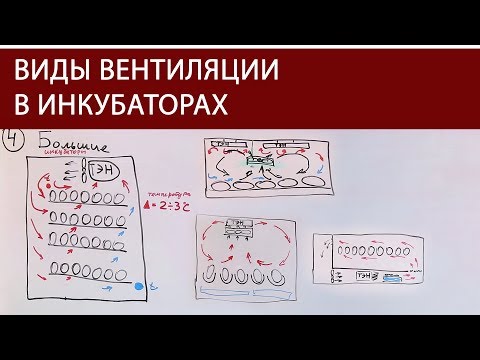 ШКОЛА ИНКУБАТОРОСТРОЕНИЯ №5 (схемы движения воздуха в заводских и самодельных инкубаторах для яиц)