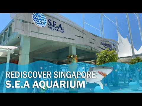 Rediscover Singapore: S.E.A Aquarium 新加坡 东南亚水族馆