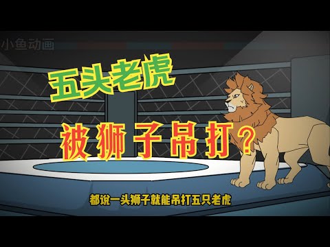 【虎虎我啊，灾变前得先减肥！（小鱼胖虎）】为了证明老虎才是万兽之王，我重生成动物园里的一只胖虎#夜一漫谈