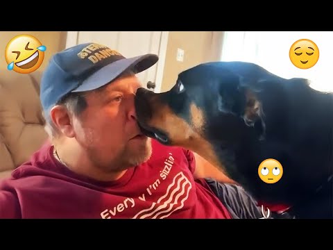 I dare you not to LAUGH at these FUNNY DOGS 😁🦮 - Best Funny Animals Videos 2025 #71