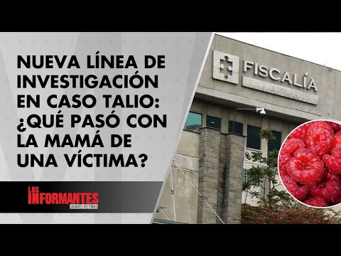 Caso talio: esto se sabe de la muerte de la mamá de una de las niñas intoxicadas - Los Informantes