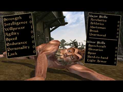 I Started Morrowind with (almost) Everything at ZERO