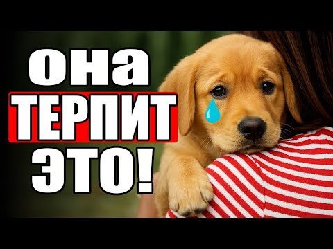 16 Вещей, Которые Собаки ТЕРПЯТ Ради ХОЗЯЕВ!