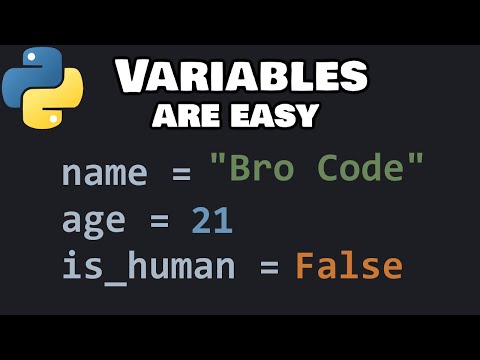 Python variables for beginners ❎
