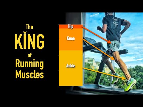 The King of Running Muscles  and how to train it!