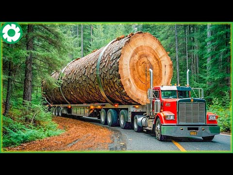 Extreme Big Logging Wood Truck Transport Skills | Biggest Heavy Machinery Machines #2