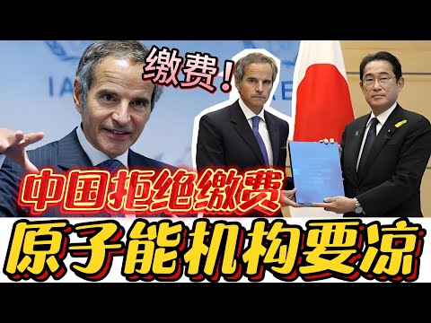 国际原子能机构面临倒闭危机，中国拒绝缴费，都是双标惹的祸！#西方#原子能机构#双标#中国