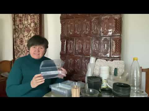 Лоточки  і стаканчики  для розсади .., мій досвід  вирощування розсади.