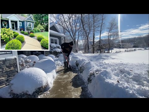 Walking in a Winter Wonderland. Tried to Build a Snowman ☃️, A Snowy Winter Walk Through The Garden!