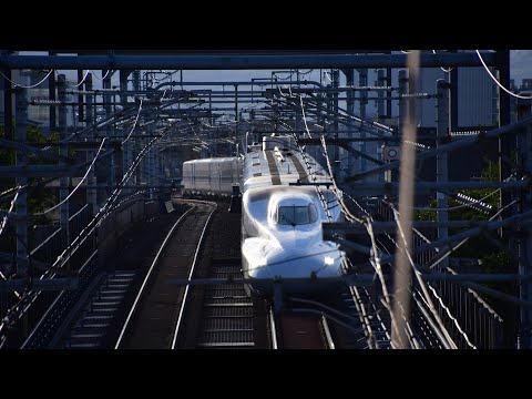 With the Shinkansen to the imperial town of Kyoto -  and trips with Sagano Railway