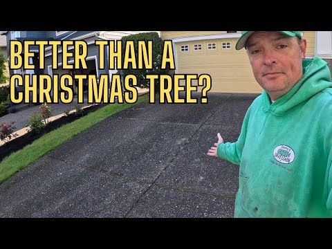 ASMR Surface Cleaning, Satisfying Curb Appeal. #asmr, #pressurewashingvideo, #clean,