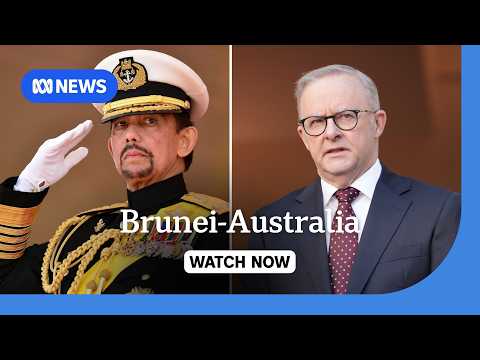 IN FULL: Anthony Albanese and Penny Wong speak after meeting Sultan of Brunei | ABC NEWS