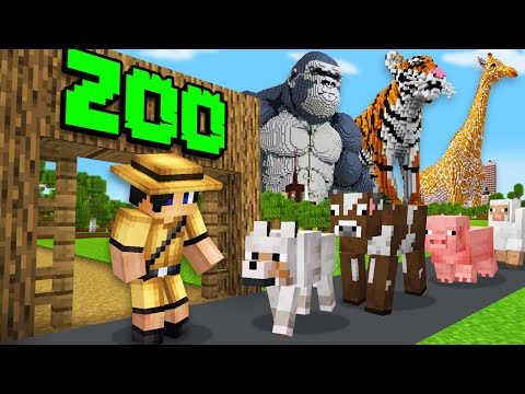 Minecraft, But I Open A Zoo...