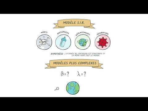 Comment modéliser les épidémies ? (Le modèle SIR) 😷 | Interstices 🔵